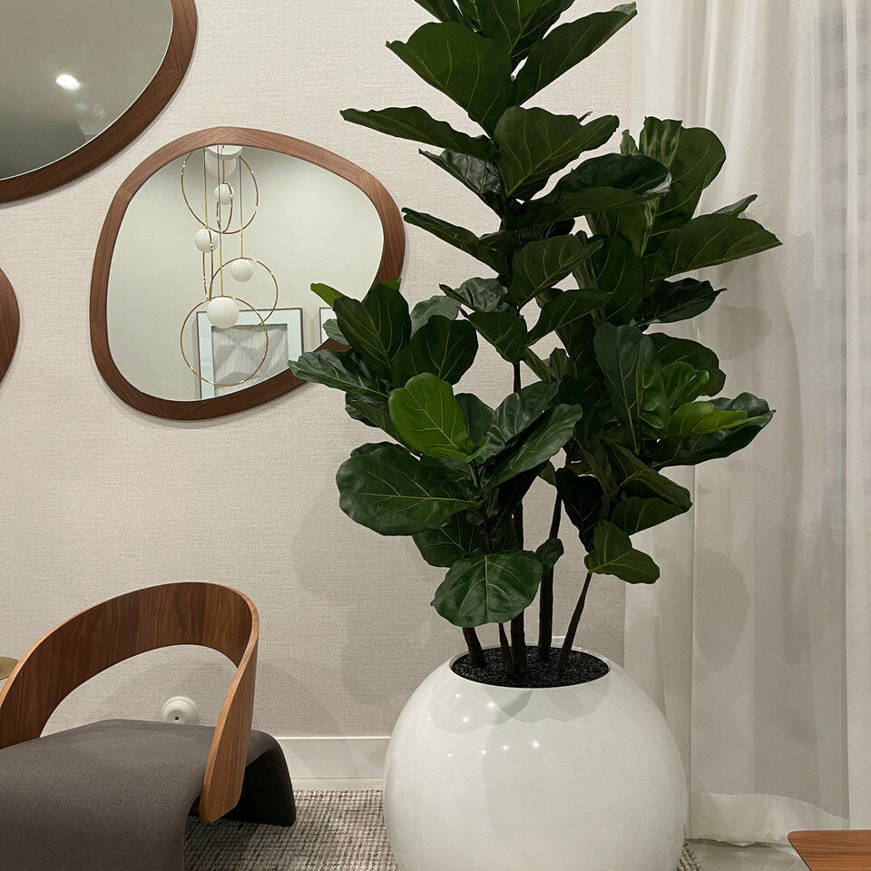 Vase Globe Blanc 30" avec Fiddle Tree