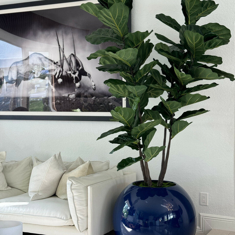 Vase Globe Bleu 30" avec Fiddle Leaf Tree