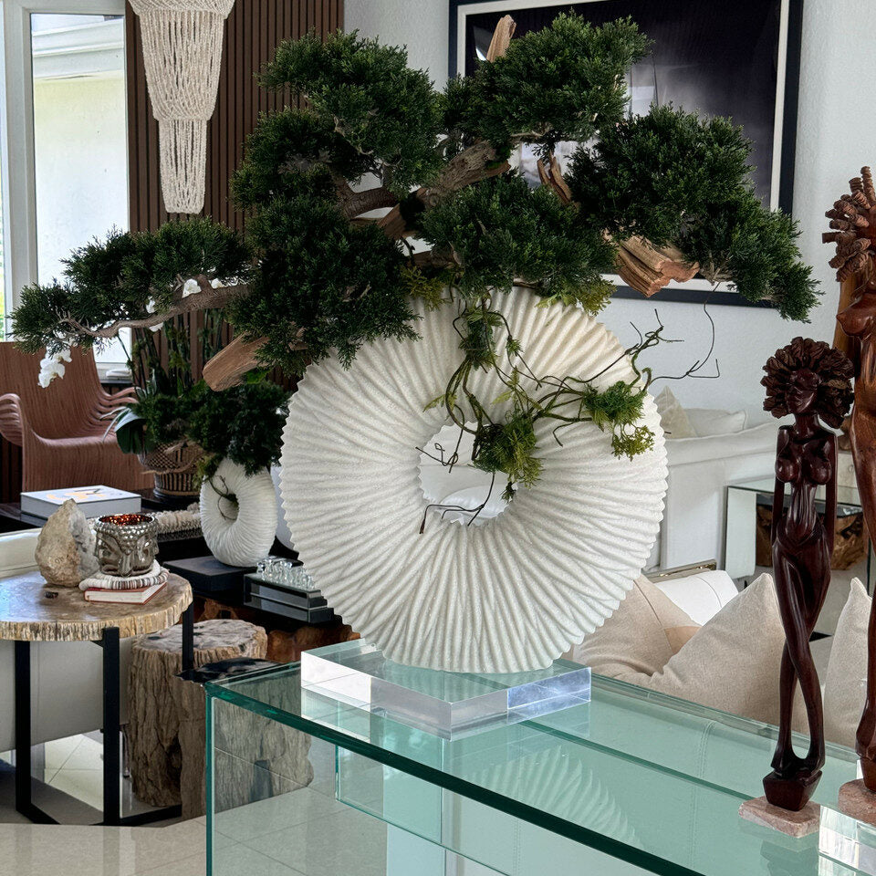 Vase Eternity grand avec bonsaï suspendu et bois flottant