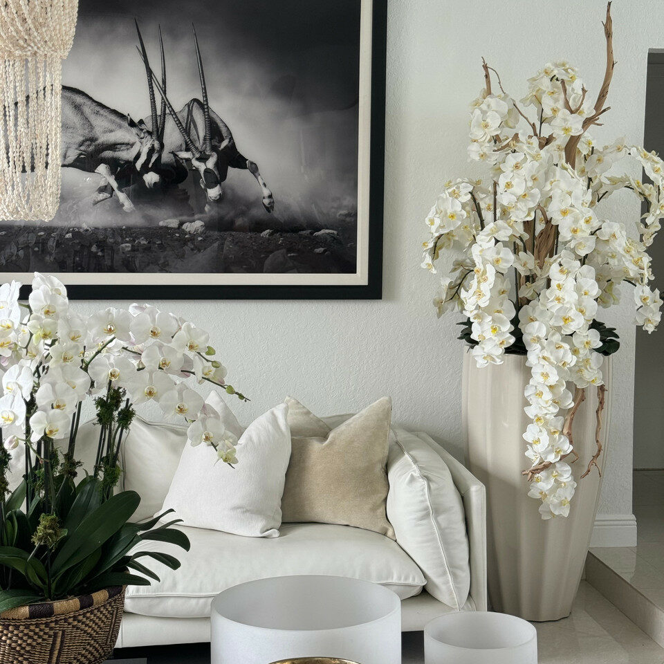 Vase San Jose Beige Sable avec Orchidées Blanches en Cascade