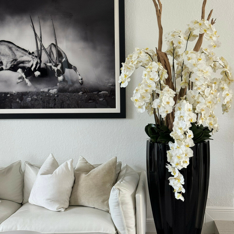 Vase San Jose en Noir Brillant avec Orchidées Blanches en Cascade