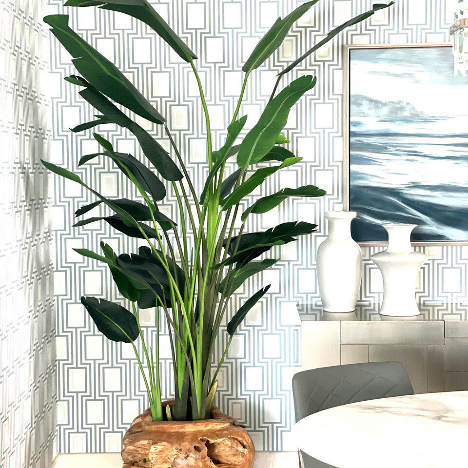 Grand Pot en Racine de Teck avec Grande Strelitzia