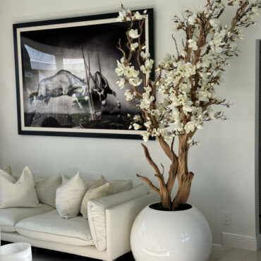 Arbre de magnolia blanc dans un pot globe blanc brillant de 30"