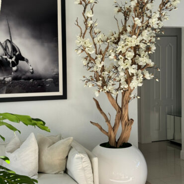 Arbre de magnolia blanc dans un pot globe blanc brillant de 30"