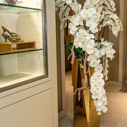 Orchidées Phalaenopsis en Cascade dans un Pot Prismatique Doré