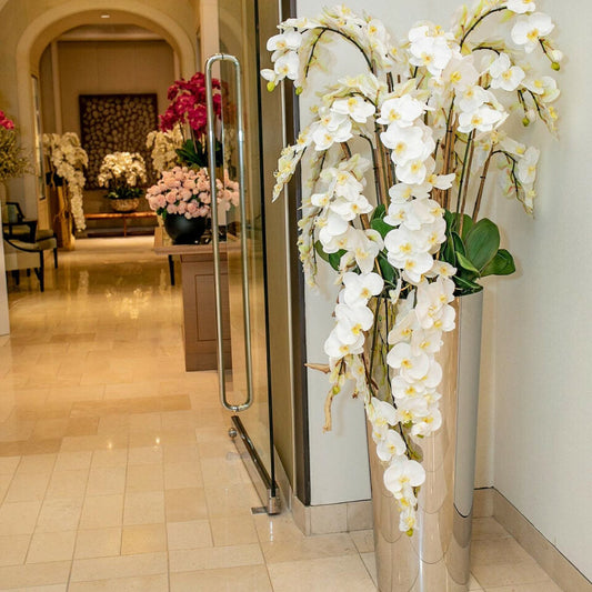 Orchidées Phalaenopsis en Cascade dans un Cône Conique Poli en Acier Inoxydable