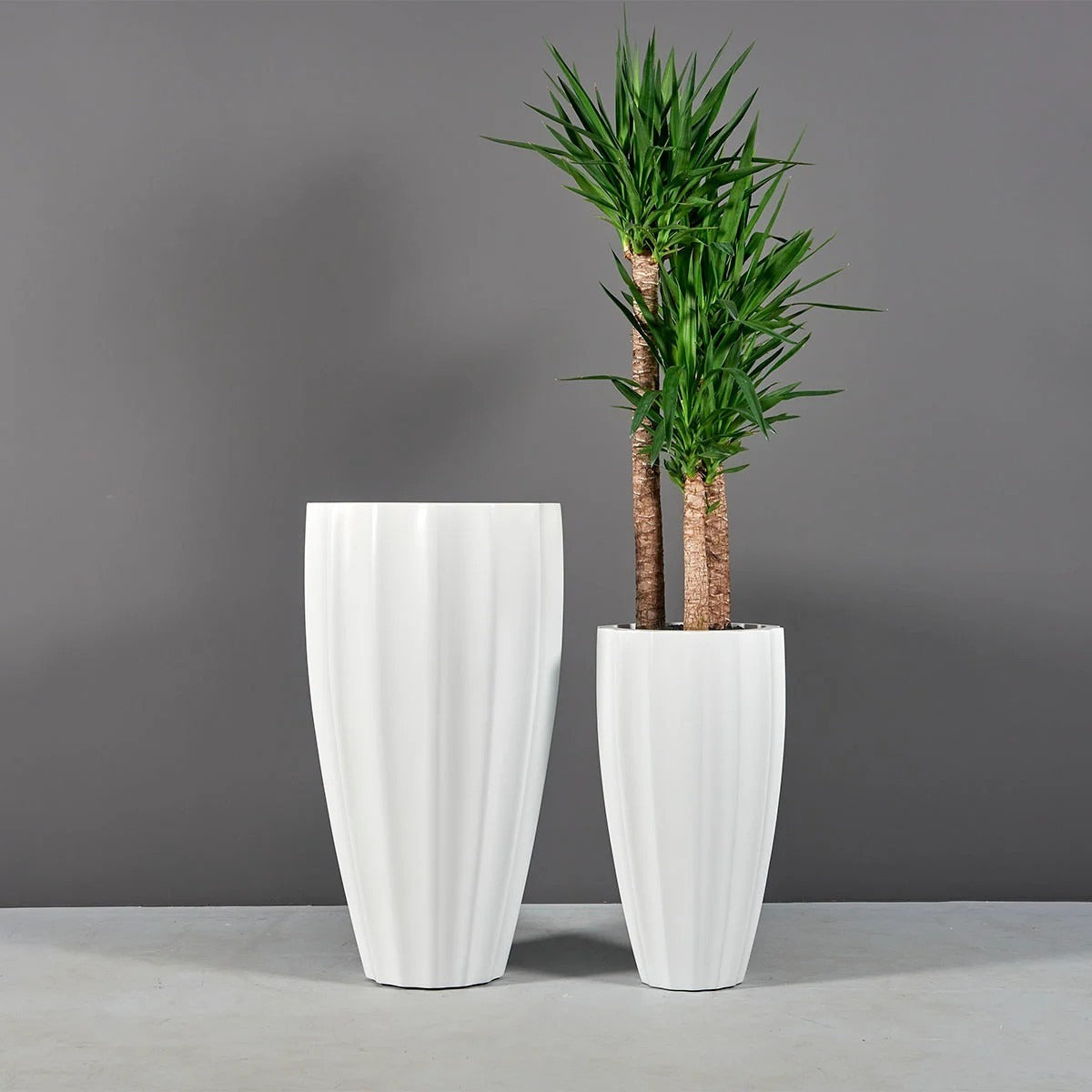 Vase Canneleté San Jose
