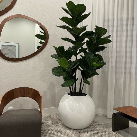Vase Globe Blanc 30" avec Fiddle Tree