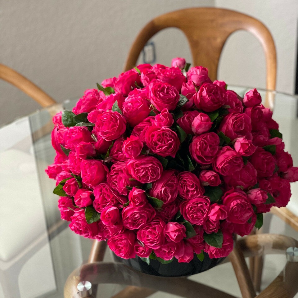 Roses Anglaises Rose Foncé dans un Vase en Verre Noir