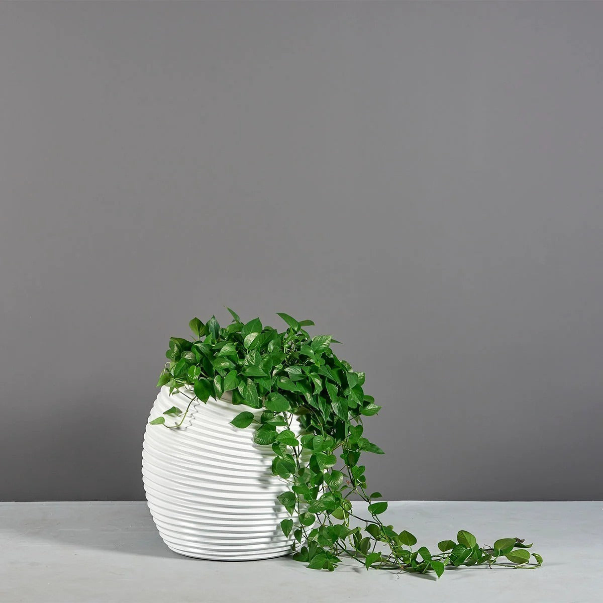 Vase Globe Moderne en Spiral