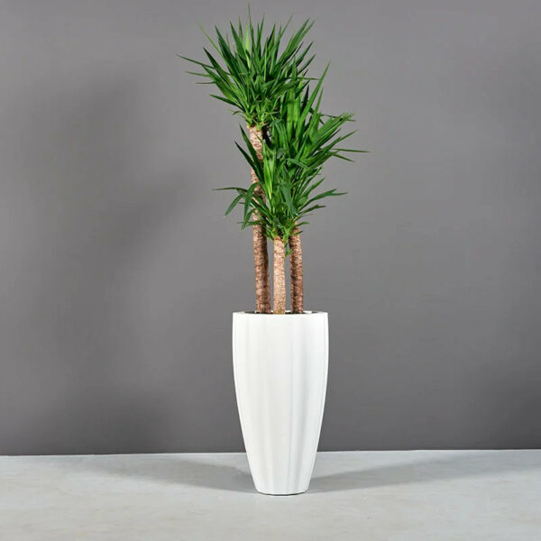 Vase Canneleté San Jose