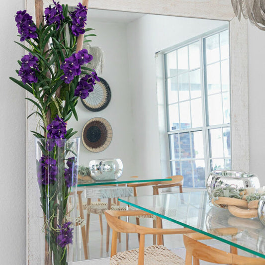 Orchidées Vanda Violettes et Bois Flottant dans un Cylindre Conique en Verre