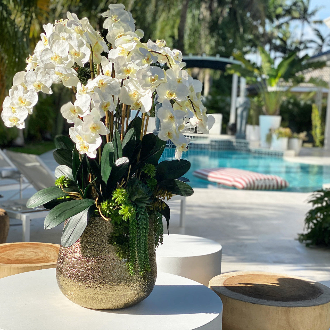 Vase Doré Delaney avec Multiples Tiges d'Orchidées Phalaenopsis et Succulentes