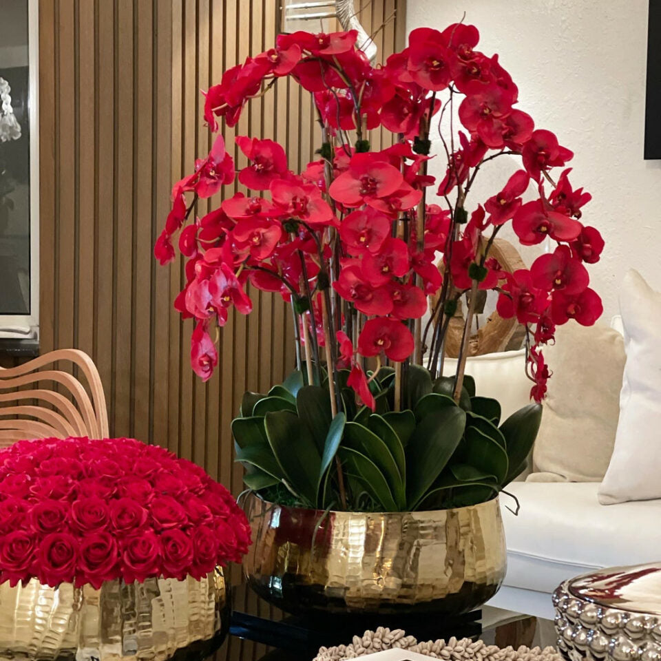 Orchidées Phalaenopsis Rouges dans un Vase Moyen Doré