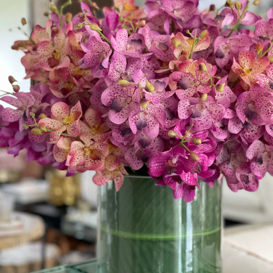 Orchidées Mokara Mixtes dans un Cylindre Rota Grand