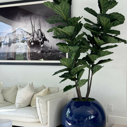 Vase Globe Bleu 30" avec Fiddle Leaf Tree