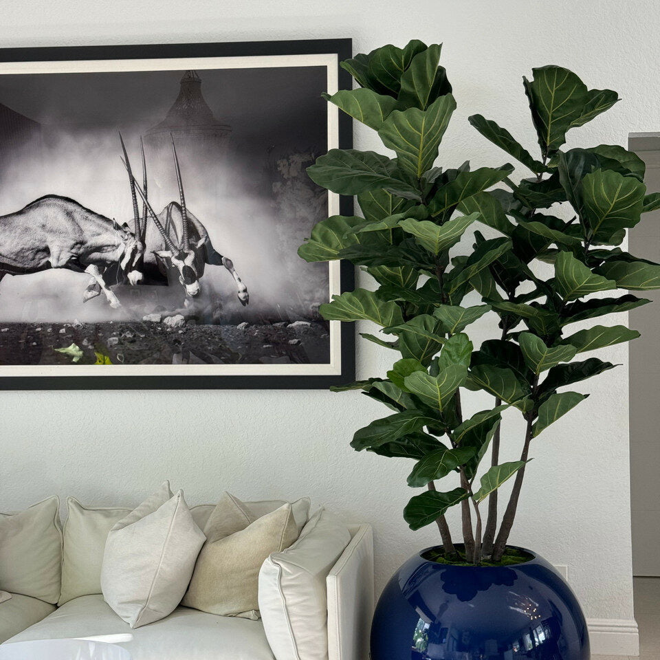 Vase Globe Bleu 30" avec Fiddle Leaf Tree
