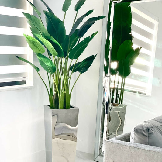 Pot Cube Moyen en Acier Inoxydable avec Strelitzia (7′)