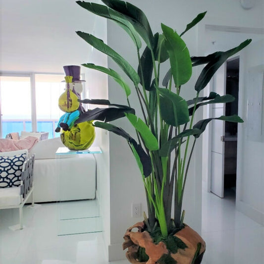 Grand Pot en Racine de Teck avec Grande Strelitzia