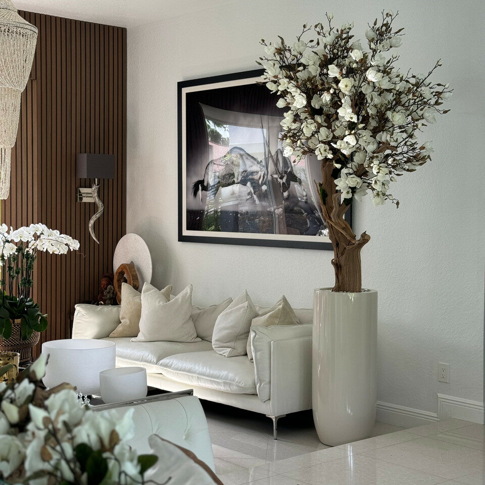 Arbre de magnolia blanc dans un pot St. Tropez beige brillant