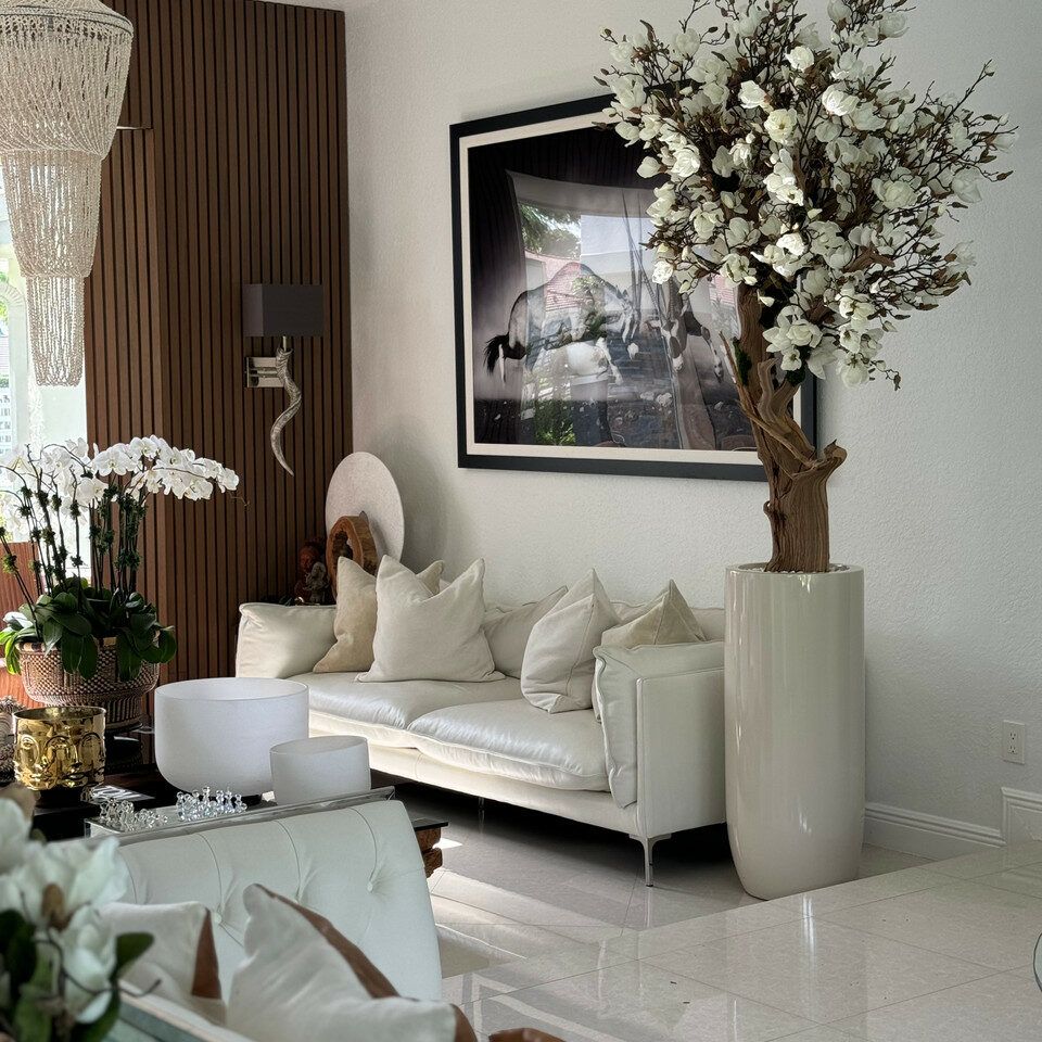 Arbre de magnolia blanc dans un pot St. Tropez beige brillant