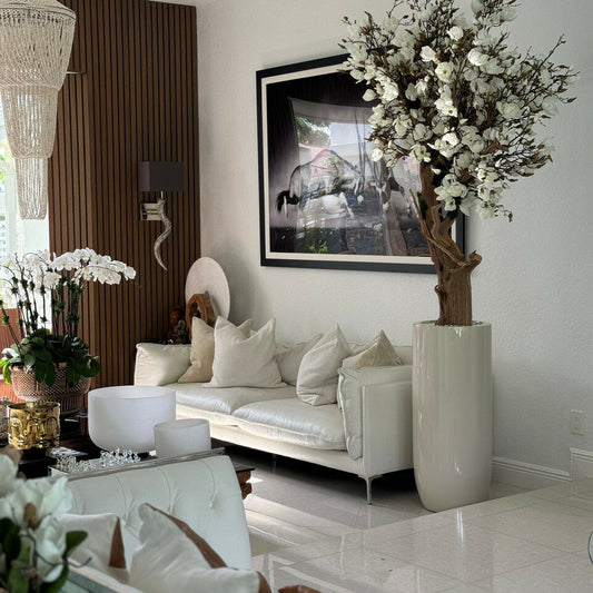 Arbre de magnolia blanc dans un pot St. Tropez beige brillant