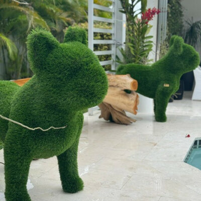 Topiaire Bouledogue Français