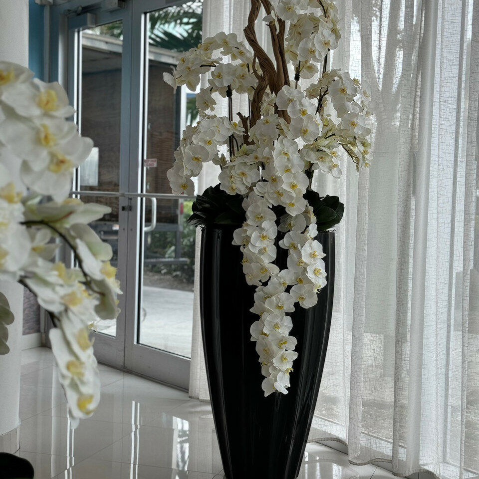 Vase San Jose en Noir Brillant avec Orchidées Blanches en Cascade