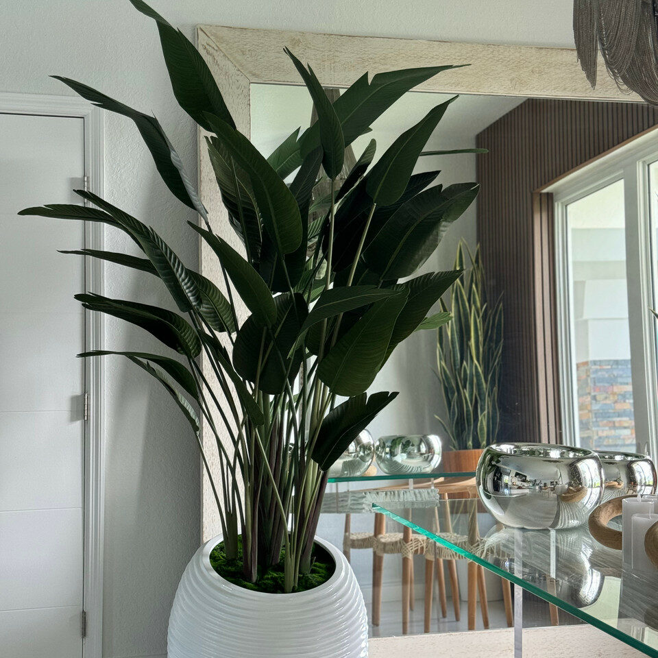 Oiseau de Paradis dans un Vase Spiral Blanc