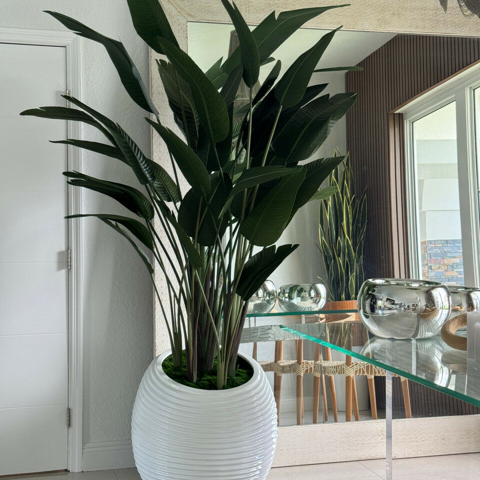 Oiseau de Paradis dans un Vase Spiral Blanc