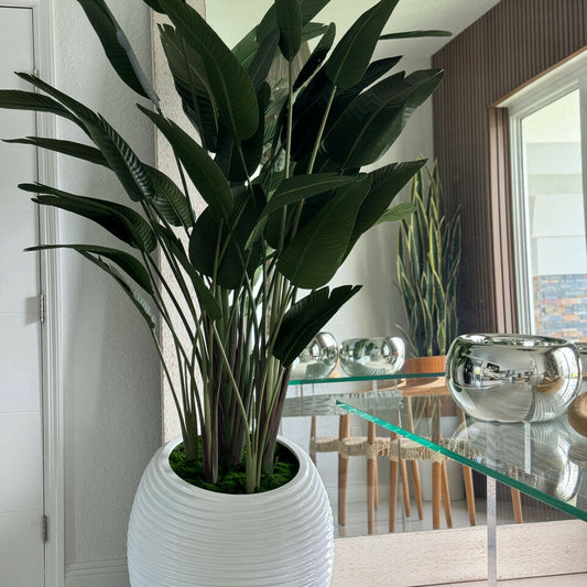 Oiseau de Paradis dans un Vase Spiral Blanc