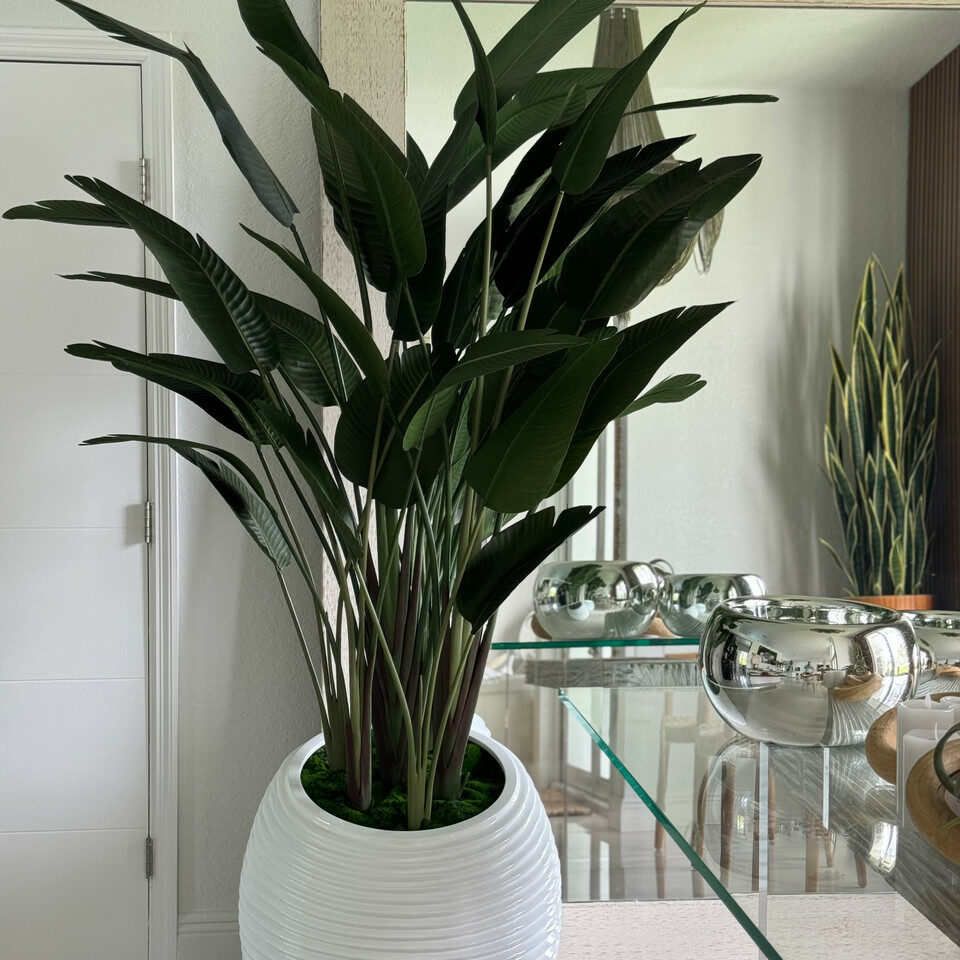 Oiseau de Paradis dans un Vase Spiral Blanc
