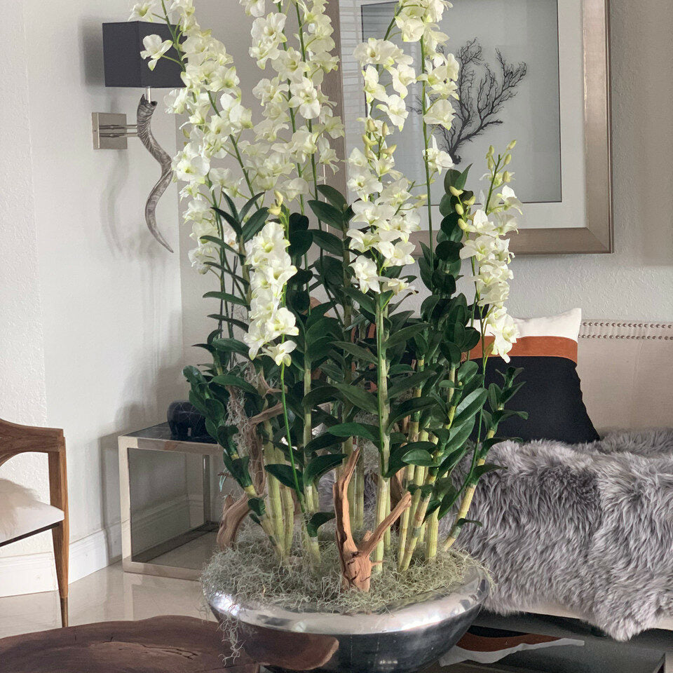Jardinière Avenue avec Orchidées Dendrobium