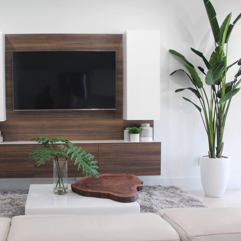 Strelitzia de 2,74 m avec pot Ben en blanc brillant