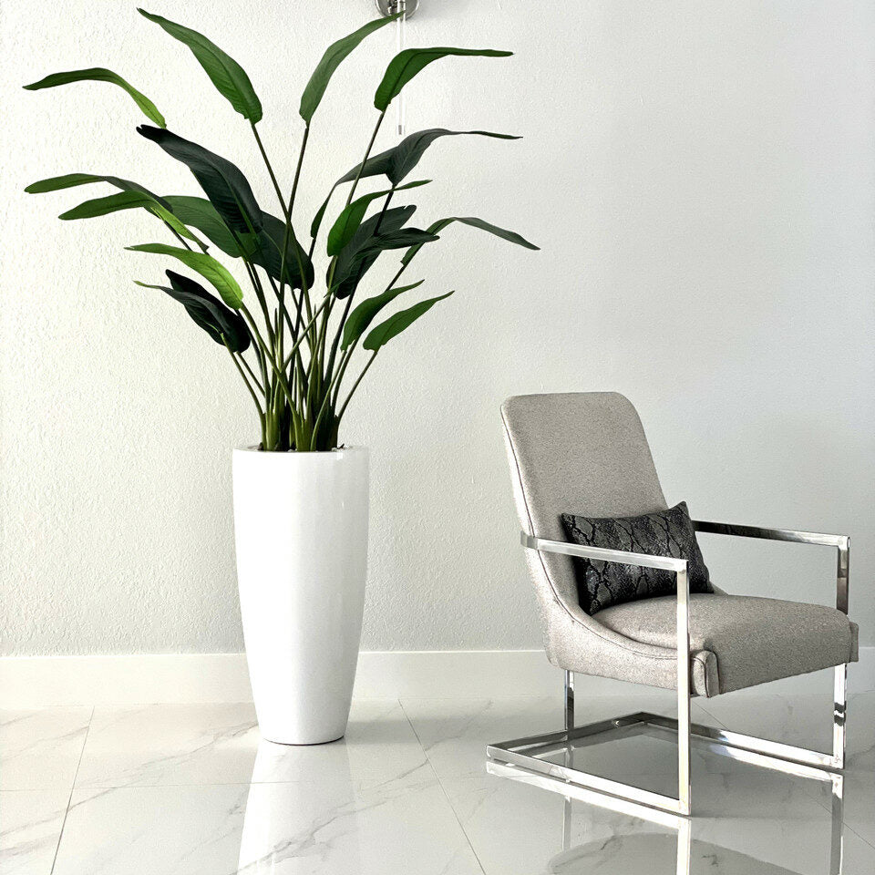 Strelitzia de 7 pieds avec pot Dax L