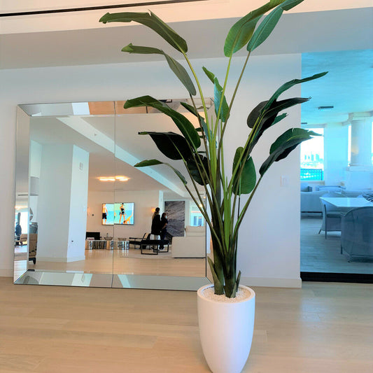 Strelitzia de 2,74 m avec pot Ben en blanc brillant