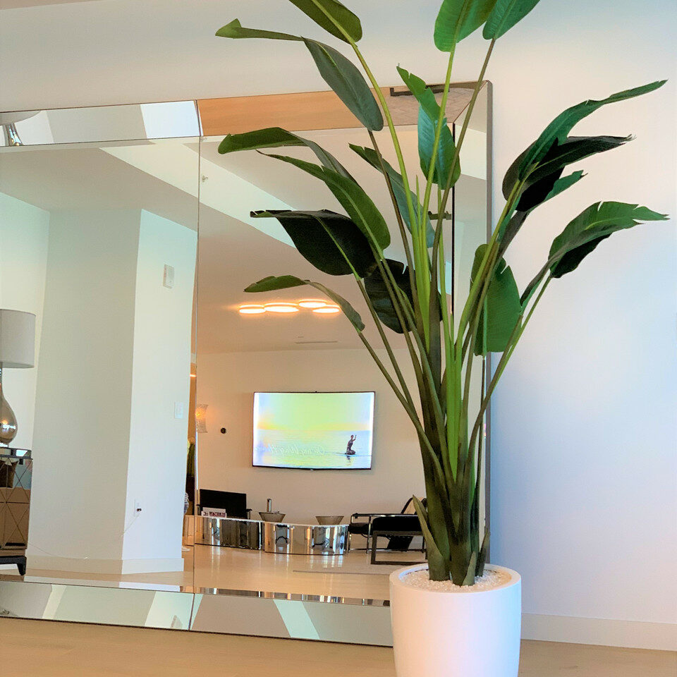 Strelitzia de 2,74 m avec pot Ben en blanc brillant