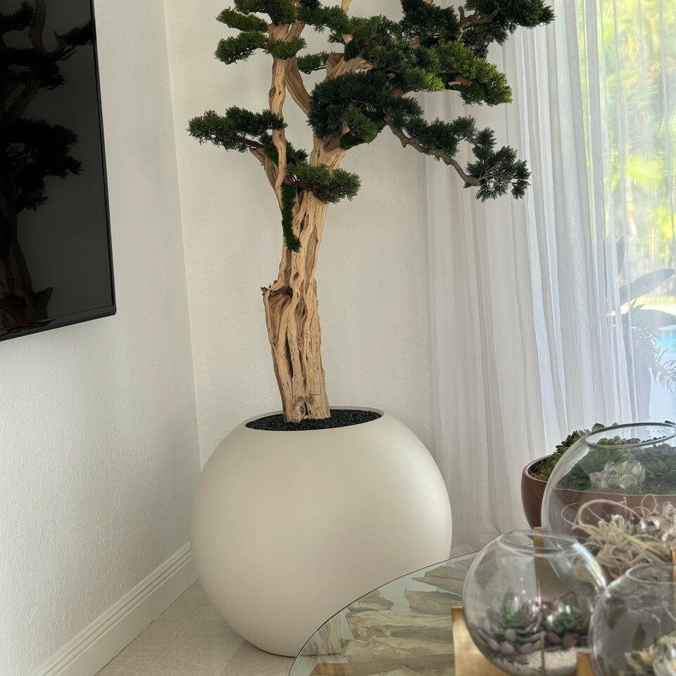 Bonsaï Trilhando dans un Globe Beige Satiné de 30"