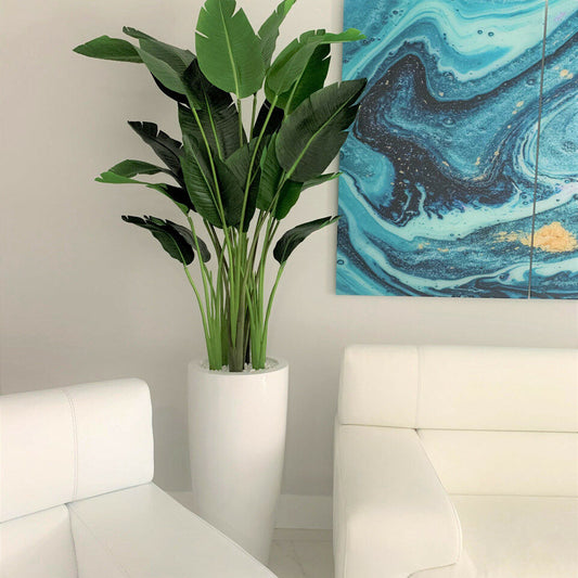 Strelitzia de 7 pieds avec pot Dax L