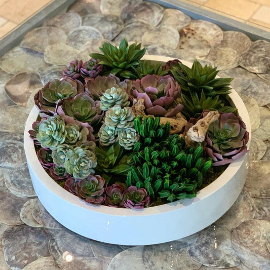 Max bowl avec succulentes artificielles variées