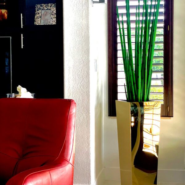 Pot Cube Doré avec Herbe Serpentaire