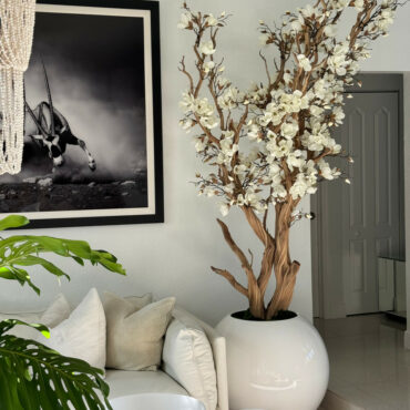 Arbre de magnolia blanc dans un pot globe blanc brillant de 30"