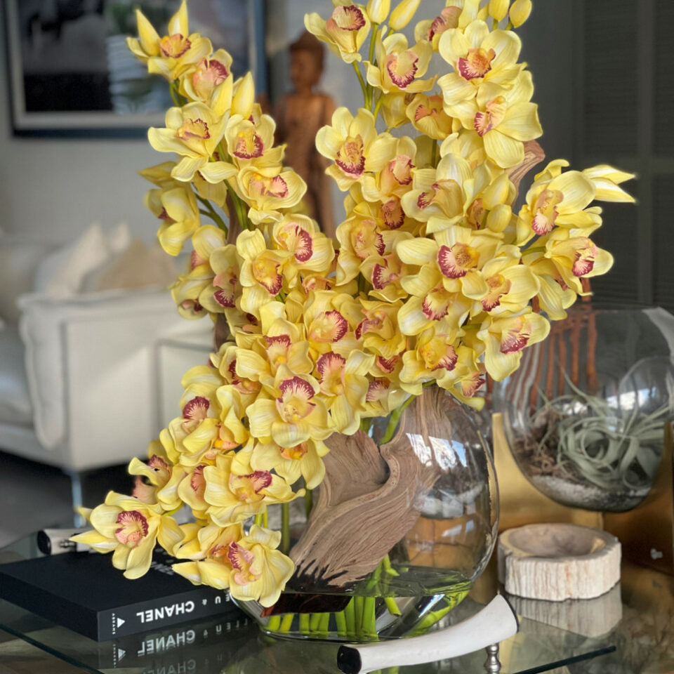 Cymbidiums Jaunes dans un Vase Lunaire