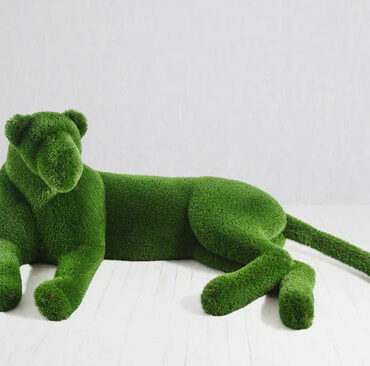 Topiaire Lionne Joueuse