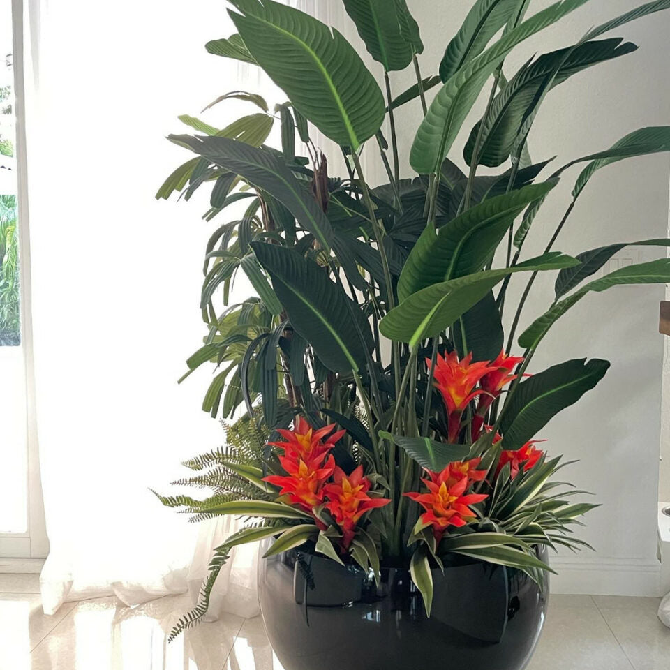 Mélange de Plantes Tropicales Black Terragona