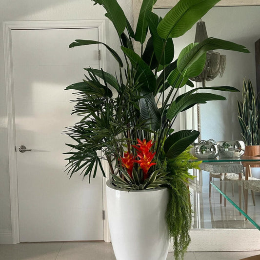 Mélange de Plantes Tropicales Brannan Blanc Brillant