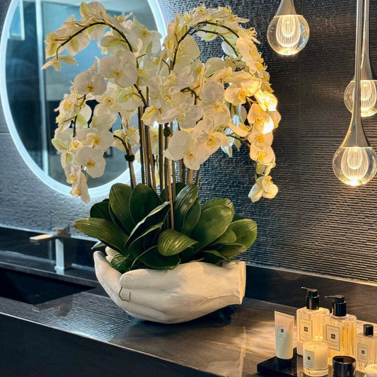 Orchidées Phalaenopsis blanches dans un vase sculpture de mains ouvertes